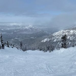 Meet your Posher, Nicholas